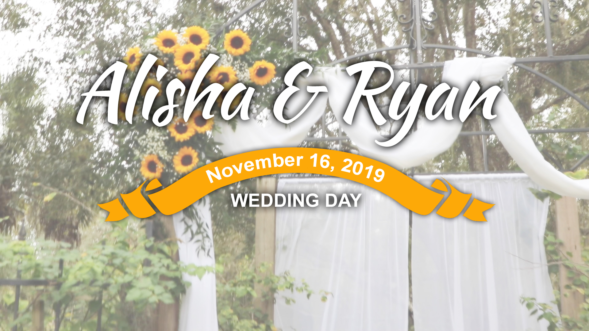 Alisha & Ryan Wedding Testimony